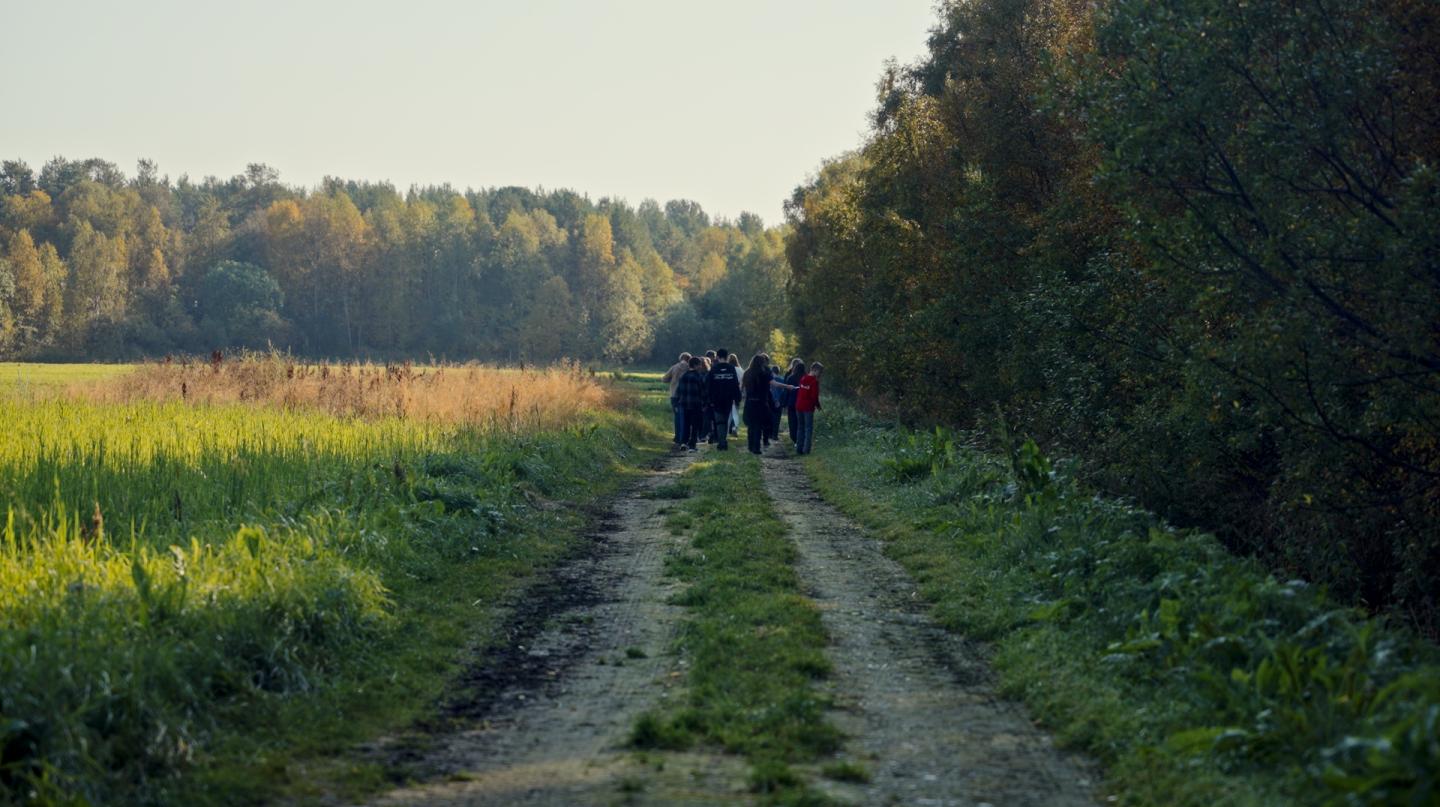 Fenologi