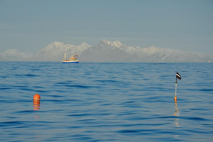 Picture of ocean and boats from Norges Fiskarlag